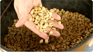 granos de café secos