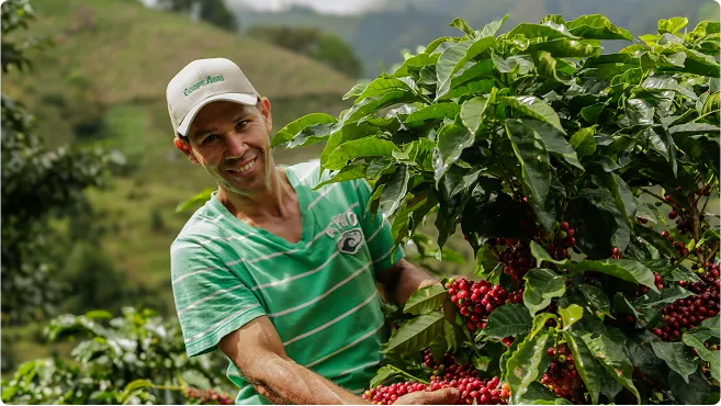 Productor de café asociado a CoopeAgri